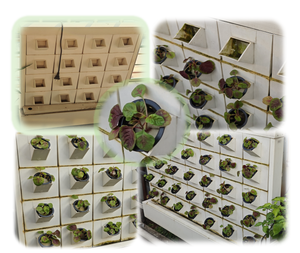 Industrial Grade <b>Hydroponics</b> Systems and Aeroponic <b>Tower</b> for Large Scale Indoor Farms - Product Image 3