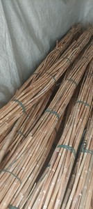 Poteaux de rotin naturel avec peau et nœuds visibles Poteau de rotin canne de rotin canne tropicale du Vietnam - CARYLN - Product Image 3