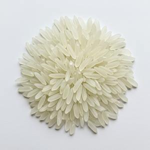 Venta a granel de arroz blanco de Grado Superior Arroz limpio y pulido Grano largo medio corto Disponible Exportación global Precios competitivos - Product Image 2