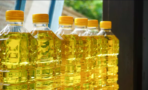 Huile végétale de canola (colza) raffinée et brute dégommée - Product Image 4