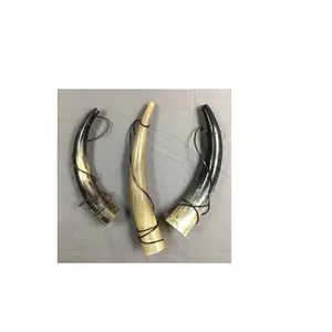 Hochwertige Büffel Paar Horn lange Leder Seil Büffel Paar Horn am besten glänzend poliert Kuh und Stier Paar Horn zum Verkauf