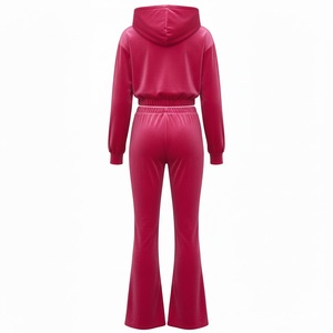 Ensemble 2 pièces en velours de luxe pour femmes, taille plus, sweat-shirt court et pantalon évasé, survêtement en velours, logo personnalisé - Product Image 6