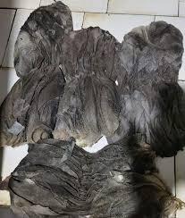 Vente en gros de viande de bœuf séchée salée de qualité pour l'exportation Omasum estomac de bœuf congelé faible en sel Caractéristique naturelle nutritive - Product Image 3