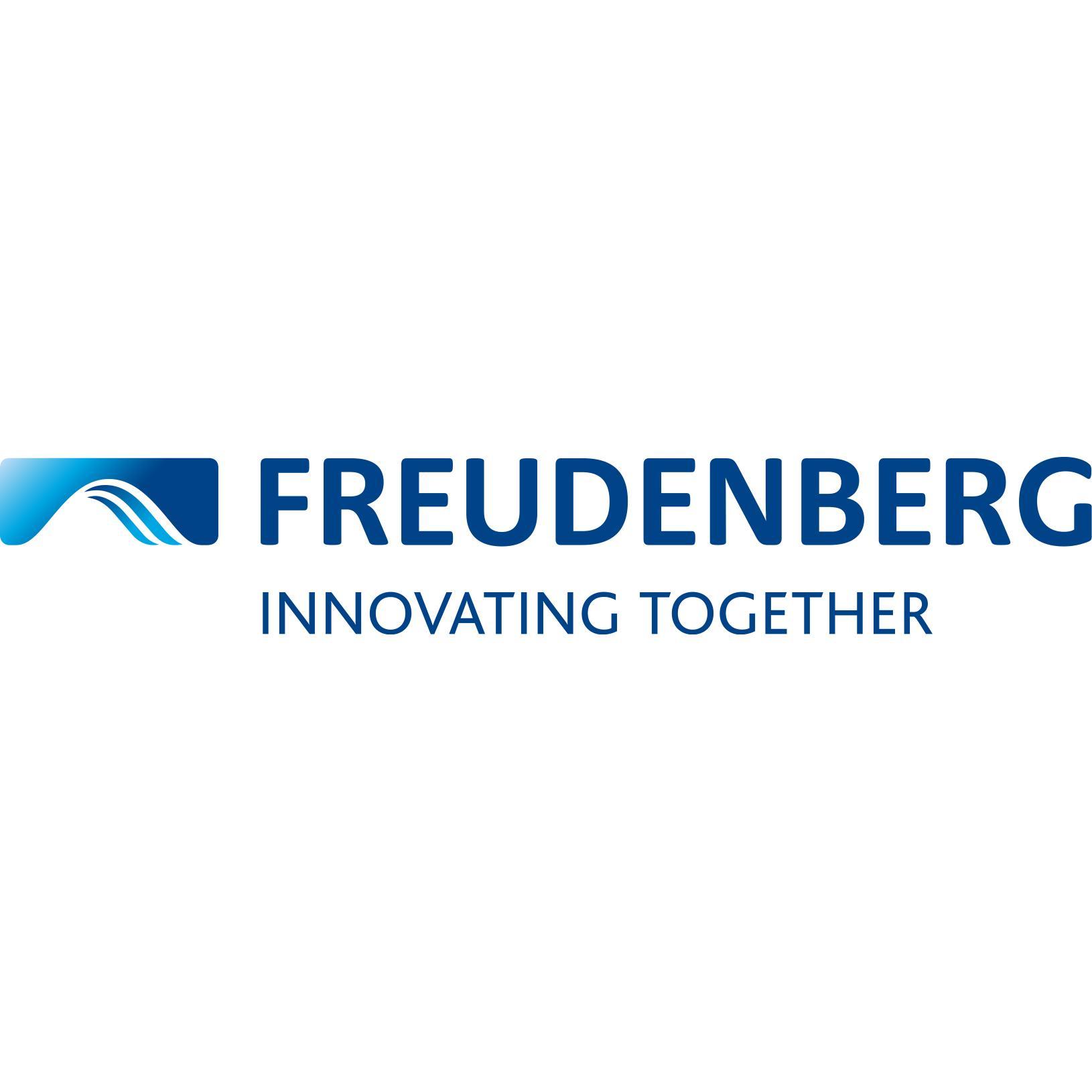 Freudenberg Filtration Technologies GmbH & Co. KG logo