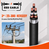 Câble d'alimentation blindé N2XSEBY 3 conducteurs CU XLPE PVC STA 3x25-300mm² avec conducteur en cuivre pour installation souterraine