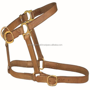 Gran oferta de cabestro de cuero tostado con cuerda de plomo, equipo ecuestre equino de alta calidad, cuello de cabeza personalizado profesional - Product Image 2