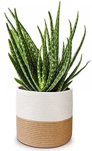 Jardinière en corde macramé simple pour une décoration intérieure minimaliste, améliorant l'arrangement des plantes d'intérieur propre et calme - Product Image 5