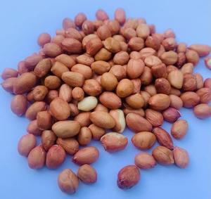 कच्चे गैर-रोस्टेड सूखे एजिप्टियन लाल त्वचा मूंगफली मानव उपभोग ग्रेड के लिए मुक्त कीटनाशक थोक पैकेजिंग - Product Image 1