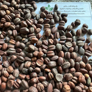 Premium Quality Dry Egyptian Jojoba 100% Pure Natural ISO 22000 Certified <b>Spices</b> and <b>Herbs</b> Raw Process AD Dried - Product Image 1