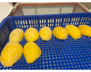 Fabricant de mangue congelée IQF de confiance offrant des mangues congelées dans le monde entier Mangue congelée du Vietnam en morceaux et en tranches - Product Image 4