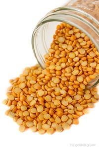 <b>Small</b> Lens Shaped Edible Seeds Bulk Green Lentils for Food Use Packaged in <b>Bags</b> for Export - Product Image 5