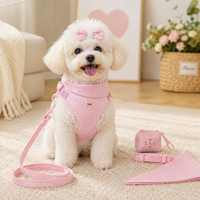 Ensemble de harnais réglable anti-traction pour chien, gilet respirant pour animaux de compagnie avec laisse à libération rapide pour chiens de petite, moyenne et grande taille OEM ODM