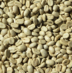 Grains de café vert Arabica, grains de café crus Arabica - Product Image 4