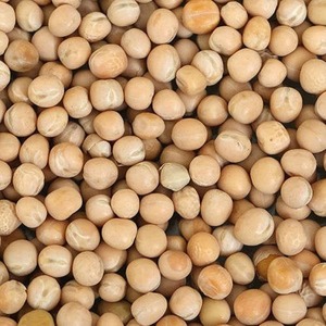 Petits pois biologiques séchés en vrac de 7 mm, qualité supérieure, prix imbattable, en vente - Product Image 5