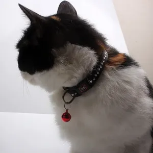 ปลอกคอแมวไนลอนพิมพ์โพลีเอสเตอร์ปรับแต่งได้ - Product Image 4