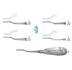 Elevadores de Raíces de Acero Inoxidable de Alta Calidad BEIN (Figuras 1-4) Fabricante y Exportador de Instrumentos Dentales - Product Image 5