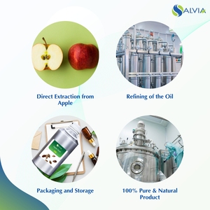 Aceite de semilla de manzana 100% puro y natural al por mayor a granel precio más bajo embalaje personalizado - Product Image 4