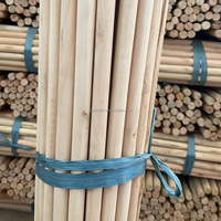 Balai à manche en bois d'eucalyptus, tête en plastique, poils doux, portable, naturel, 6 pouces, prix de gros usine, personnalisable, pas cher