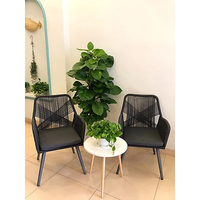 Chaises de salle à manger modernes en rotin PE, durables et empilables, avec dossier, idéales pour villas, cours, restaurants, chambres, écoles et parcs – Vente chaude