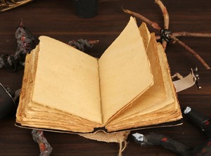 Luna Moth Blank Spell Book of Shadows Journal Suministros de brujería Decoración de polilla y estampado de mariposa Morpho - Product Image 2