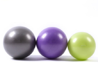 Mini balle d'exercice Pilates en PVC de 25cm, petite balle cintrée pour l'entraînement et la physiothérapie.