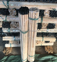 Balai portable en bois d'eucalyptus naturel, poignées durables, poils doux et écologiques, prix avantageux de Chine
