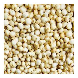 เมล็ดข้าวข้าวฟ่างขาวบราซิลใช้เป็นอาหาร - Product Image 2