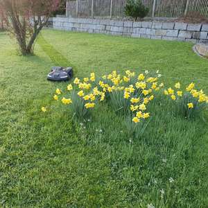 จัดส่งฟรี เครื่องตัดหญ้าแบบหุ่นยนต์บังคับวิทยุ ขับเคลื่อนทุกพื้นผิว ได้รับการรับรองมาตรฐาน CE และ EPA พร้อมใบมีดสำหรับหิมะ - Product Image 5