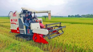 Tiên tiến gam Mini gặt đập liên hợp cho độ chính xác nông nghiệp tự động năng suất cao tối đa năng suất chưa từng có độ tin cậy - Product Image 4