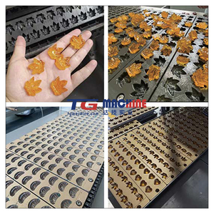 Línea completa de producción de ositos de goma para hacer caramelos blandos: cocción, depósito, enfriamiento, secado, envasado (opcional) - Product Image 6