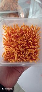 Fourniture de Cordyceps militaires biologique, champignons séchés/fleurs de Cordyceps séchées/Cordyceps militaires séchés - Product Image 6