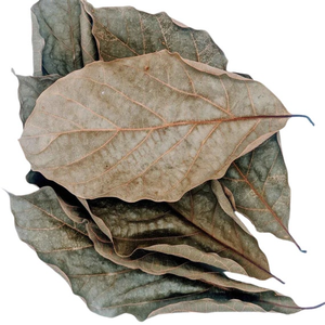 HOJAS DE AGUACATE SECAS DE GRADO SUPERIOR/AROMA DE HERBAS PURAS/PRECIO COMPETITIVO/FUENTE VIETNAMESA - Product Image 2