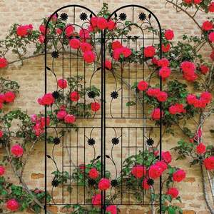 Enrejado de metal para jardín, soporte multiusos para flores, frutas, enredaderas, estructura de cultivo productiva para jardín exterior, solución de sistema de cultivo. - Product Image 1