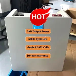 Patented Technologies 51.2v 100AH Lithium Ion Lifepo4 Battery Powerwall Home Battery 10Kwh