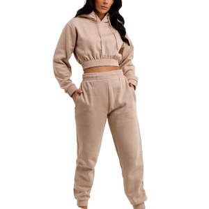 Prix usine personnalisé femmes sport sweat à capuche haute qualité coton mince col en v culture longue coupe ample hiver court 2026 - Product Image 1