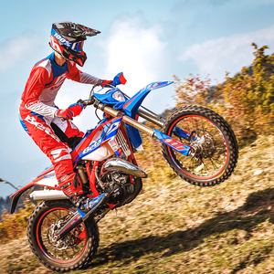 2024 BETA RR Race Edition 200 190.2cc <40km/h - Product Image 3