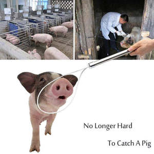 Instrument vétérinaire professionnel robuste attraper porc équipement agricole porte-cochon attrape-porc support de porc en acier inoxydable - Product Image 5
