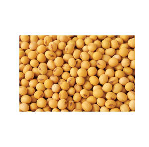 Soja Fresca de Alta Calidad, Sin OMG, Hecha en EE. UU., Precio al por Mayor, Lista para Enviar - Product Image 1