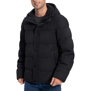 Doudoune d'hiver épaisse pour hommes, manteau chaud à capuche rembourré, imperméable, coupe-vent, isolé, décontracté, streetwear - Product Image 1