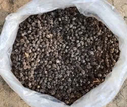 Graine de papaye de qualité supérieure pour les épices et l'utilisation industrielle - Product Image 6