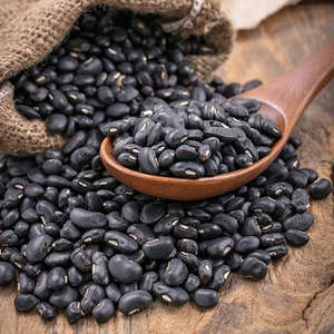 Haricots noirs séchés certifiés qualité alimentaire, qualité export, pureté 99%+, petite taille, séchage à froid, durée de conservation 24 mois, vente en gros - Product Image 1