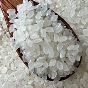Arroz Japonés de Alta Calidad, Saludable, 100% Natural, Blanco, de Grano Corto, para Sushi - Product Image 1