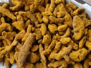 POLISHED DRIED TURMERIC ROOT EXPORT QUALITY <b>PRODUCTS</b> GOOD PRICE - Product Image 4