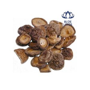 Champignon Shiitake séché bon pour la santé - Product Image 1