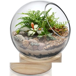 Centros de mesa de cena, decoración del hogar, Terrario de cristal para florero o contenedor de plantas, terrario - Product Image 6