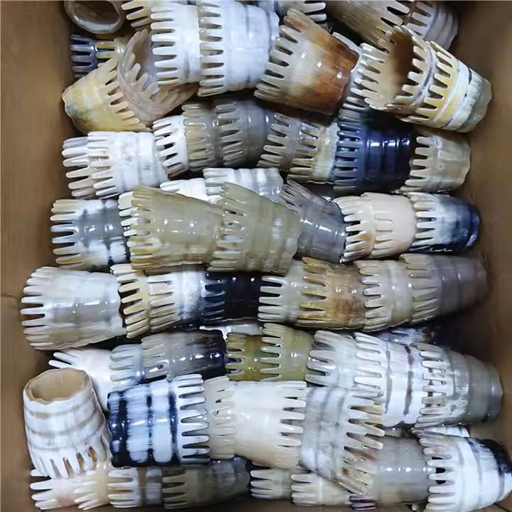 ธรรมชาติ