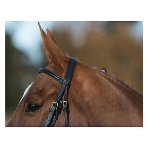 Équipement pour chevaux glaçure & Gordon-bride surélevée de luxe-marron - Product Image 3