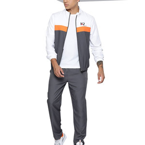 Conjunto Deportivo de Dos Piezas para Hombre, Talla Grande, Chaqueta y Pantalones, Ropa Deportiva Informal para Gimnasio y Jogging, Venta al Por Mayor - Product Image 1