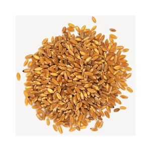 Blé dur accessible pour une acquisition et une approvisionnement importants - Product Image 1