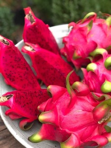 Fruit du dragon d'exportation vietnamien-frais, juteux et riche en nutriments, idéal pour les importateurs et les distributeurs du monde entier - Product Image 5